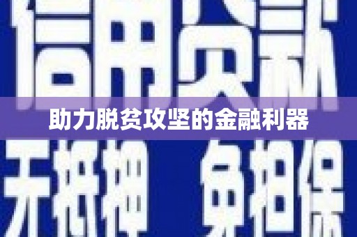 张湾助力脱贫攻坚的金融利器