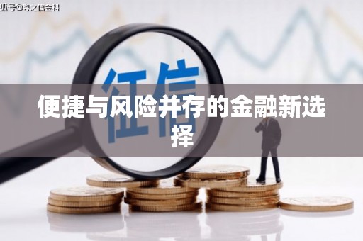 张湾便捷与风险并存的金融新选择
