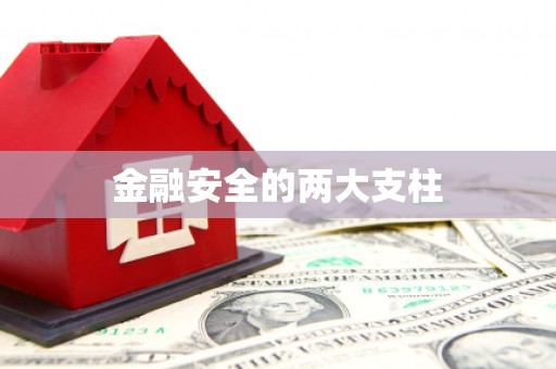 张湾金融安全的两大支柱
