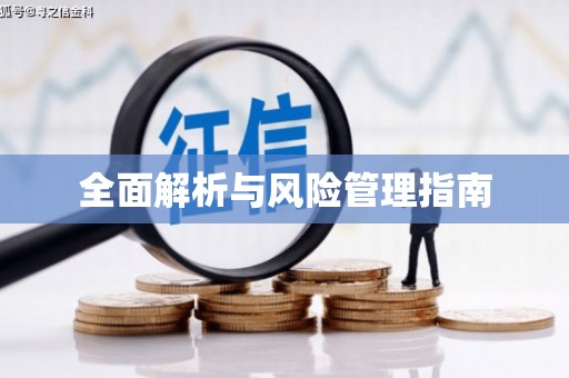 张湾全面解析与风险管理指南