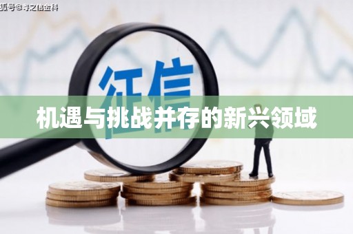 张湾机遇与挑战并存的新兴领域