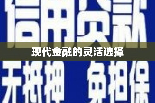 张湾现代金融的灵活选择