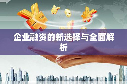 张湾企业融资的新选择与全面解析