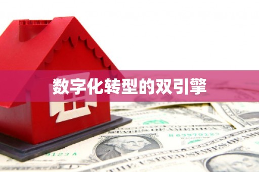张湾数字化转型的双引擎