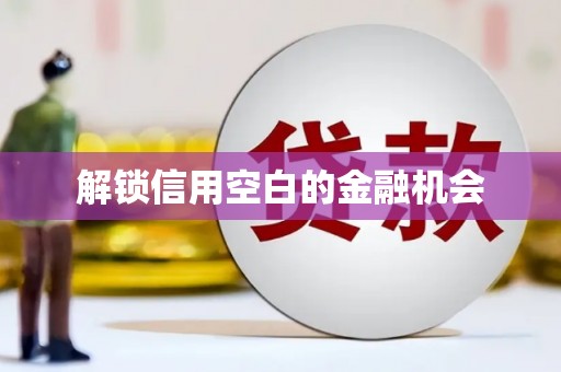张湾解锁信用空白的金融机会