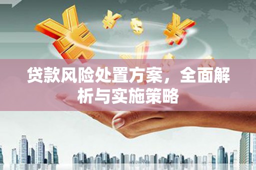 张湾贷款风险处置方案，全面解析与实施策略
