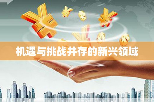 张湾机遇与挑战并存的新兴领域
