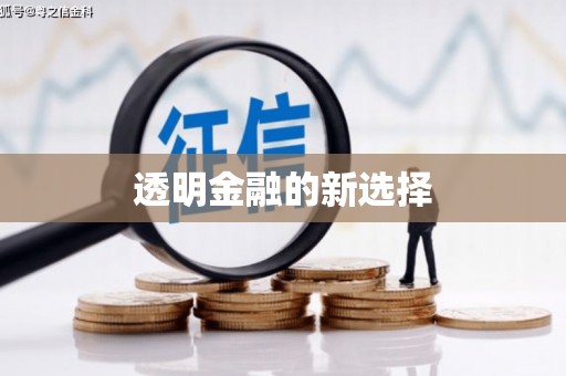 张湾透明金融的新选择