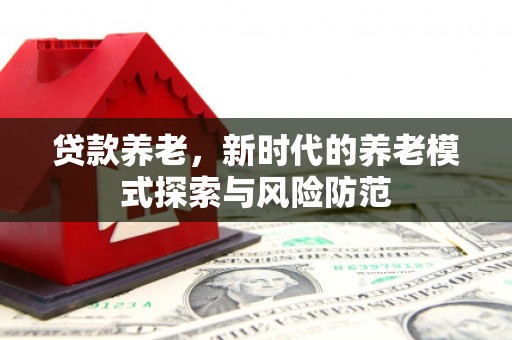 张湾贷款养老，新时代的养老模式探索与风险防范