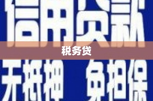 张湾税务贷