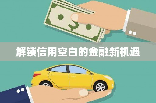 张湾解锁信用空白的金融新机遇
