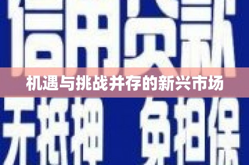 张湾机遇与挑战并存的新兴市场