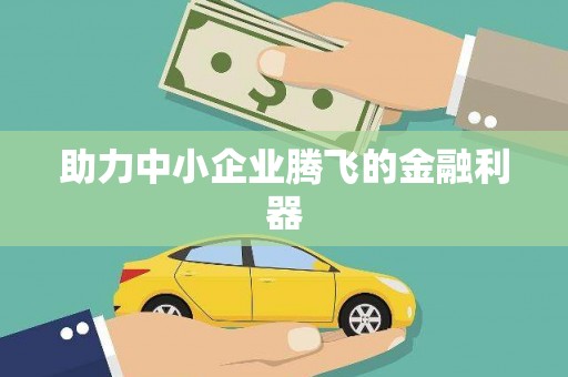 张湾助力中小企业腾飞的金融利器