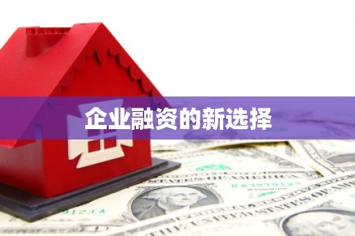 张湾企业融资的新选择