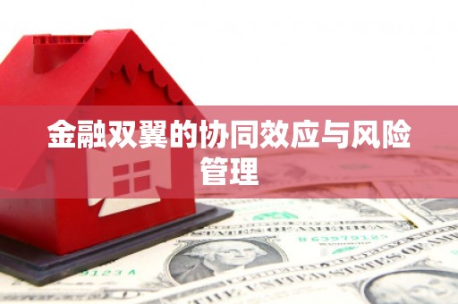 张湾金融双翼的协同效应与风险管理