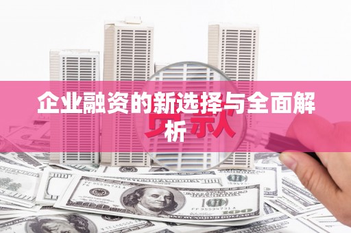 张湾企业融资的新选择与全面解析