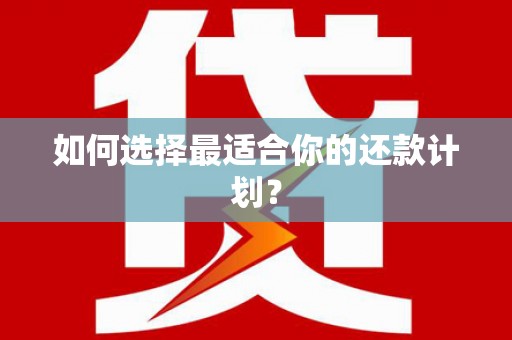 张湾如何选择最适合你的还款计划？