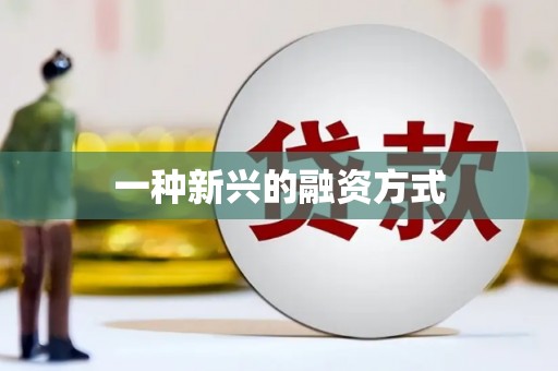 张湾一种新兴的融资方式