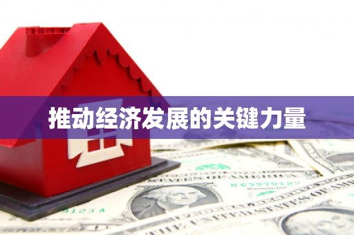 张湾推动经济发展的关键力量