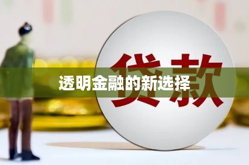 张湾透明金融的新选择