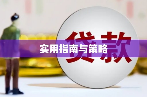 张湾实用指南与策略