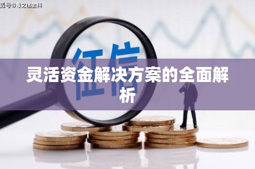 张湾灵活资金解决方案的全面解析
