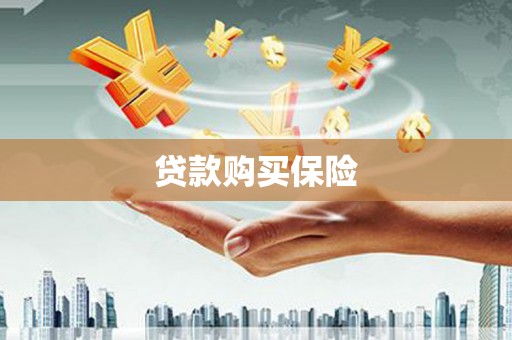 张湾贷款购买保险