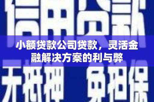 张湾小额贷款公司贷款，灵活金融解决方案的利与弊