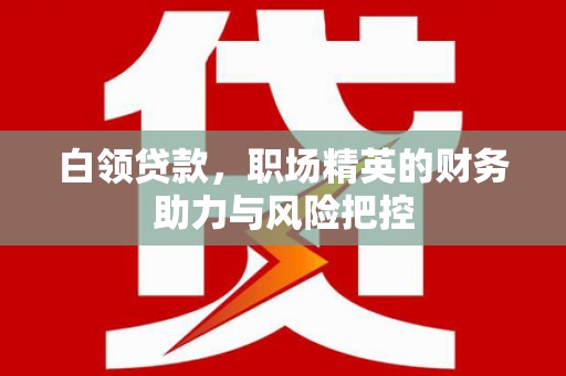 张湾白领贷款，职场精英的财务助力与风险把控