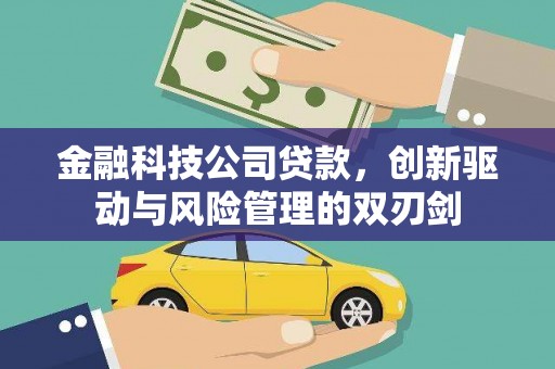 张湾金融科技公司贷款，创新驱动与风险管理的双刃剑